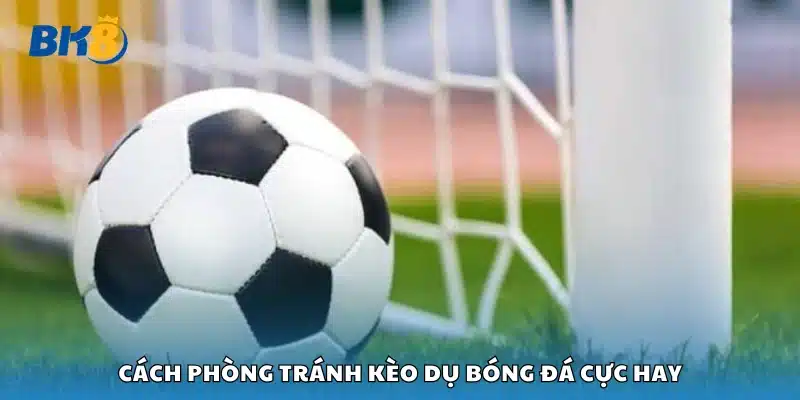 Hướng dẫn phòng tránh kèo dụ bóng đá cực hay