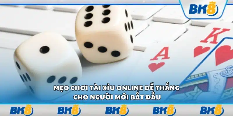 Mẹo chơi tài xỉu online dễ thắng cho người mới bắt đầu